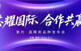 以种为芯・以链致远！  紫约种业携四大蓝莓新品种・筑牢中国蓝莓产业发展根基