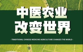 生态农业新风口：中医农业品牌“后代无忧”引领绿色致富新潮流