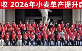 四新助农·麦向丰收2026小麦单产提升启动会成功举办 科技赋能筑牢粮食安全防线
