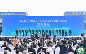 第八届京津冀蔬菜产业发展大会暨招商对接大会召开