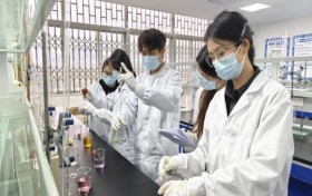 科技兴花破瓶颈 沃根泽卉团队赋能云南花卉产业高质量发展