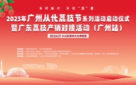 “荔”争上游，从化当“鲜”